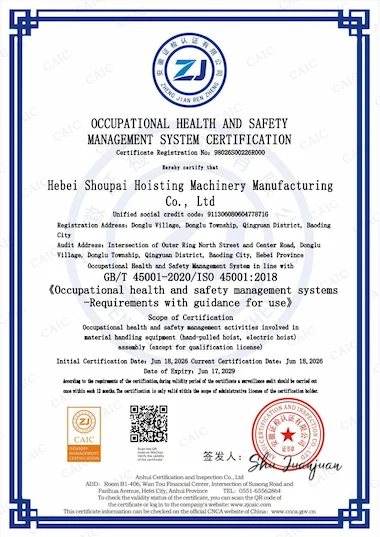 ISO 45001 Occupational Health and Safety Management System